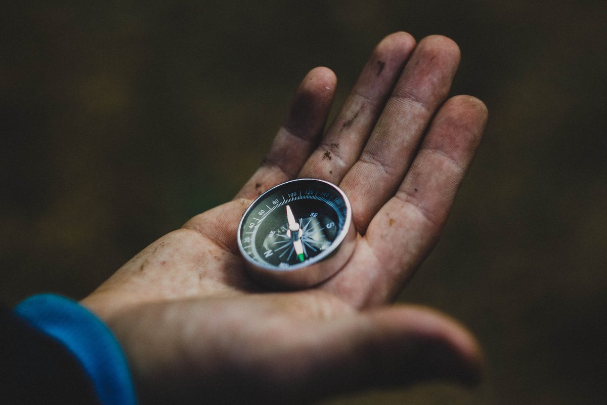 The Cheapest Trustee Can Become An Expensive Family Decision